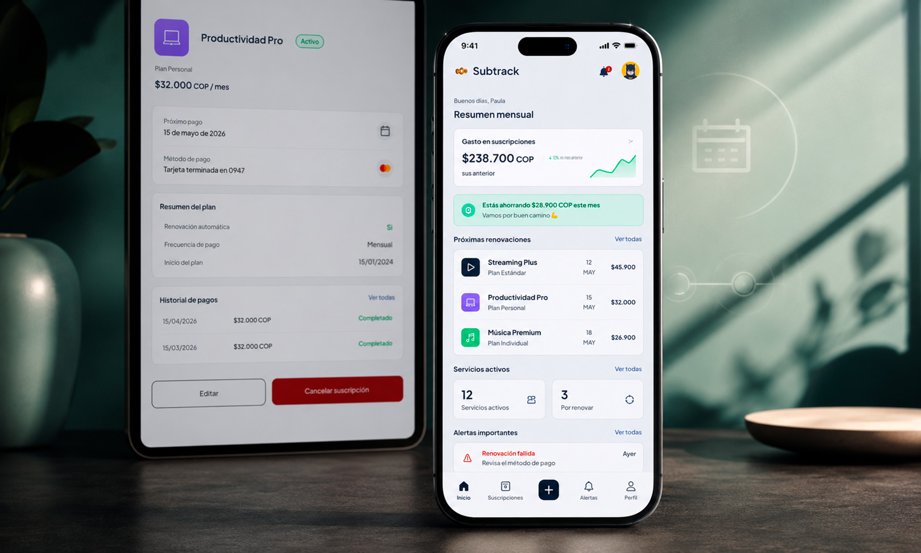 Subtrack dashboard showing subscription cards, renewal information, spending, and payment details